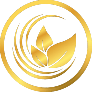 Bulenox Review 2025 Profit Splits Payouts And Key Features Bulenox Review 2025 Profit Splits Payouts And Key Features